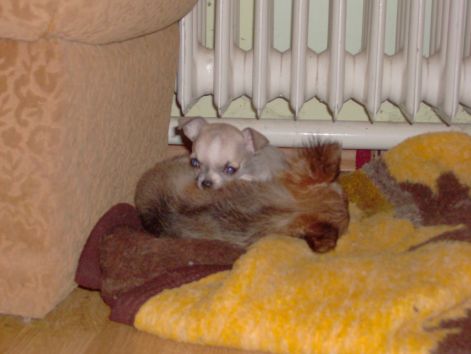 hpim0956.jpg hpim0956.jpg
